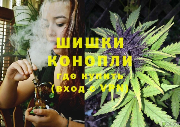 ПСИЛОЦИБИНОВЫЕ ГРИБЫ Покровск
