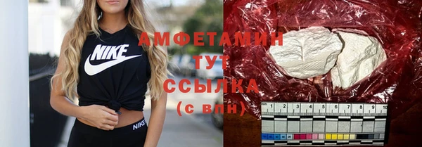 сатива Горняк