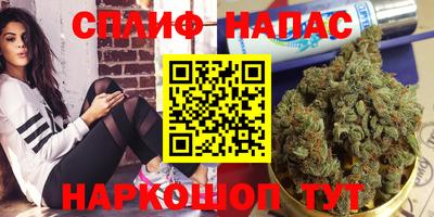 PSILOCYBIN Гай
