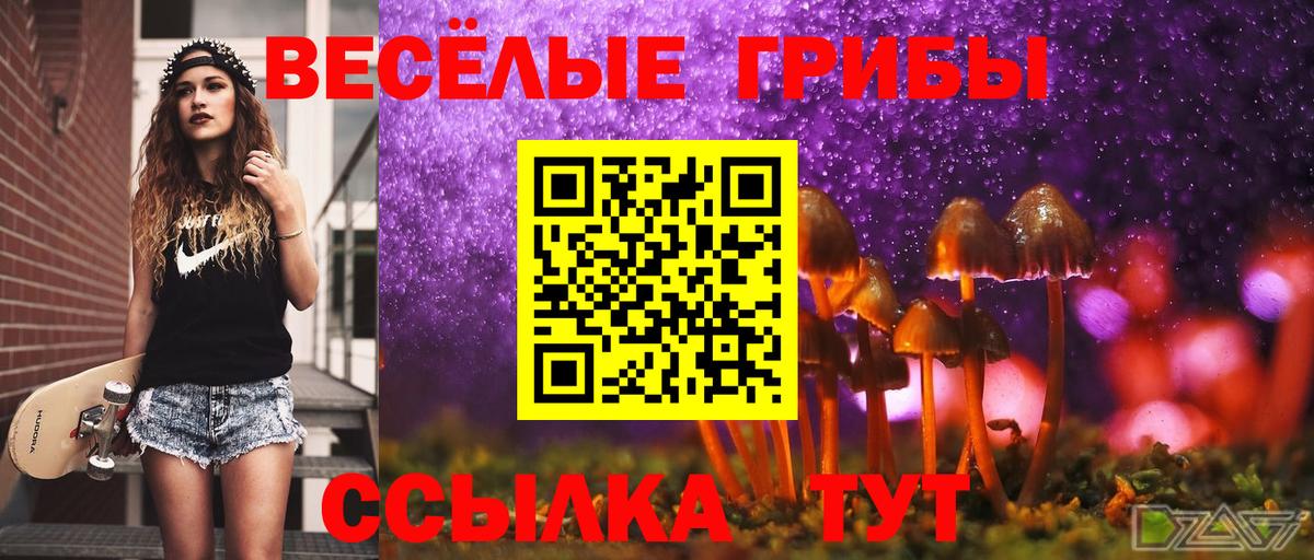 Галлюциногенные грибы ЛСД Лобня